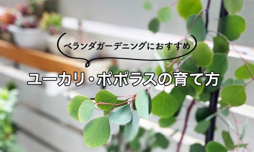 脂肪过少会出现哪些症状-脂肪少了对身体有什么危害、脂肪过少会出现哪些症状 -脂肪不足怎么办网